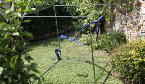 Blue Birds-1 by DEC